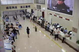 焦作车管所爆料事件最新,内幕曝光，真相背后引关注  第1张